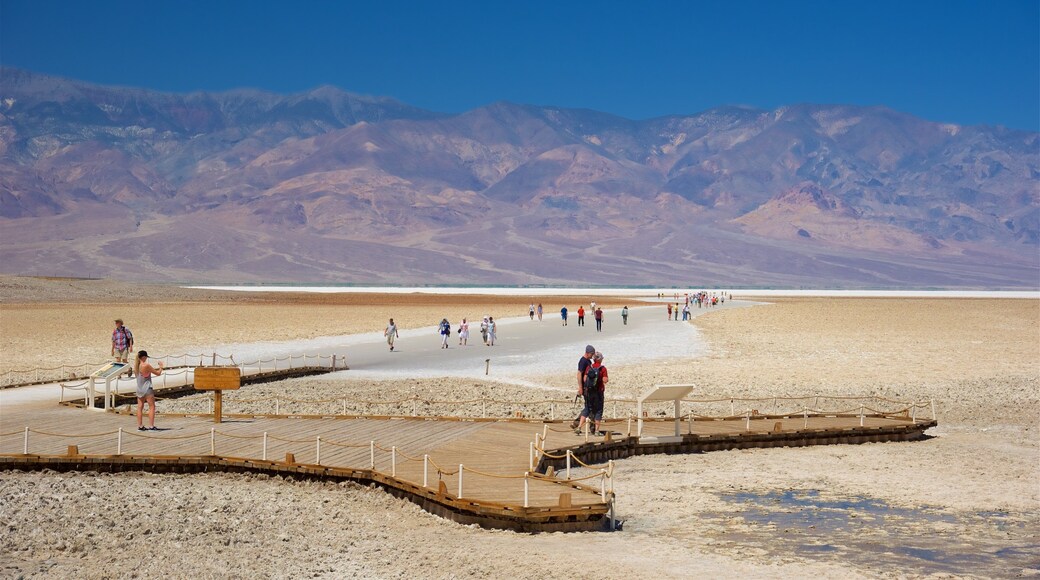 Badwater featuring desert views, views and hiking or walking