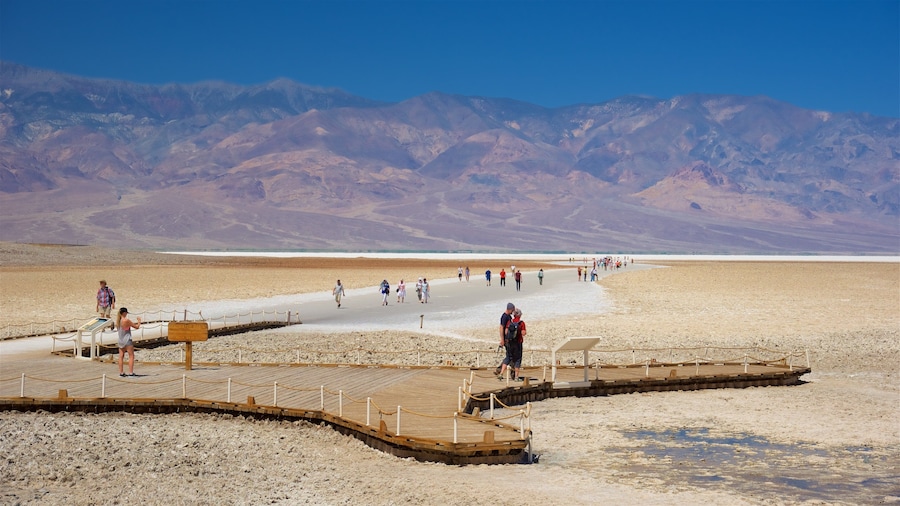 Badwater som viser utsikt, vandring eller fottur og ørkenutsikt