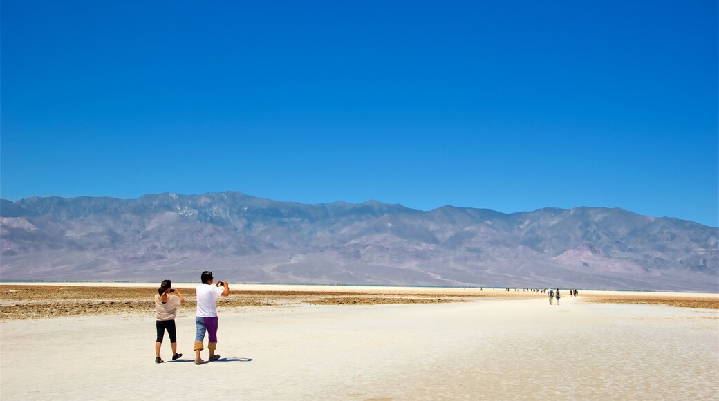 Death Valley National Park showing desert views and landscape views as well as a couple