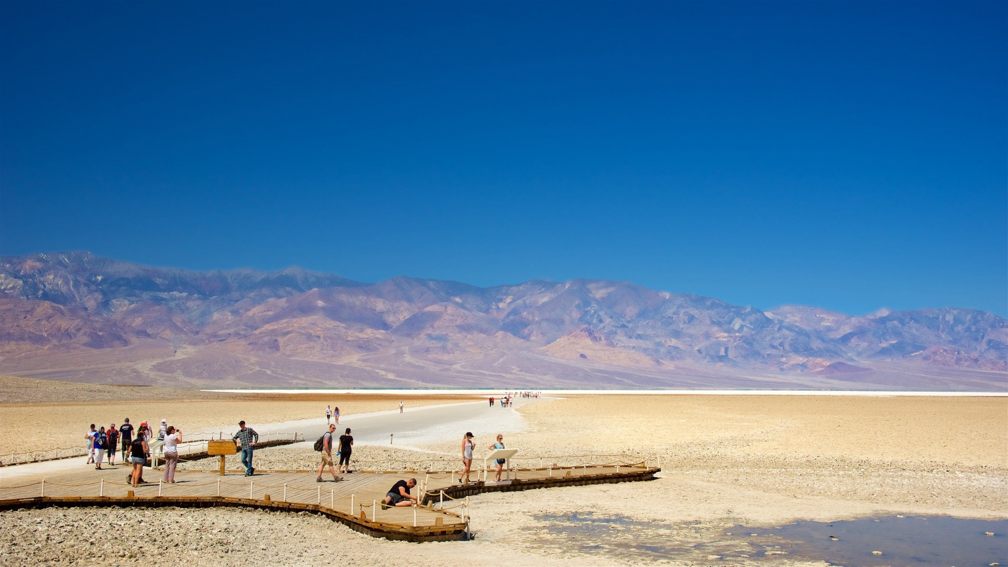 A desert landscape with a salt flat, a wooden boardwalk, and mountains in the background.