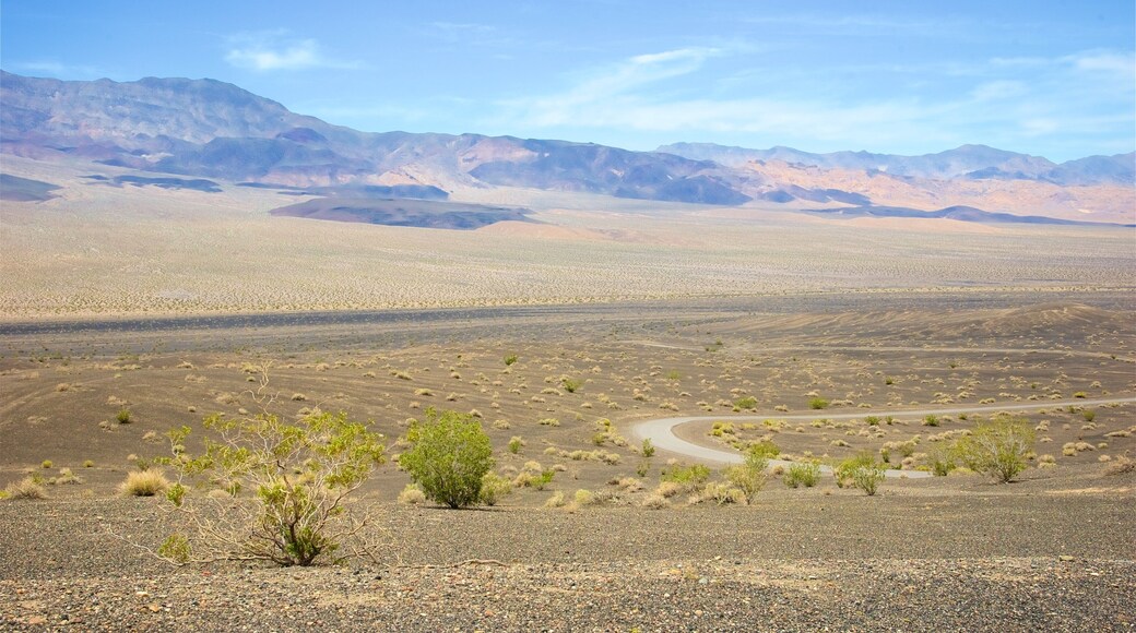 Ubehebe Crater showing desert views and landscape views