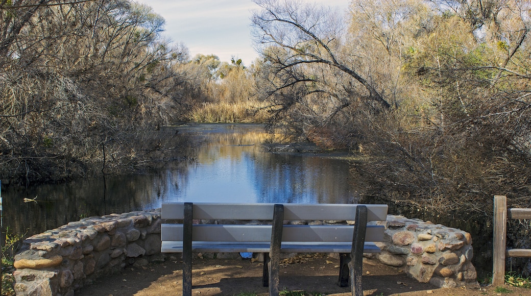 Hassayampa River Preserve
