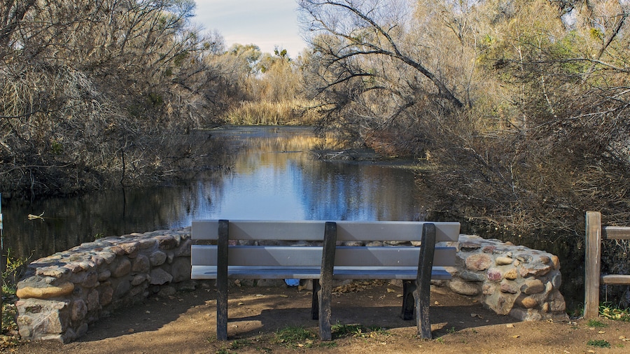 Hassayampa River Preserve