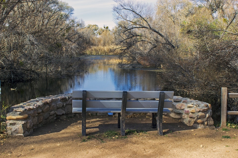 Un banc al costat d'un riu tranquil rodejat d'arbres.