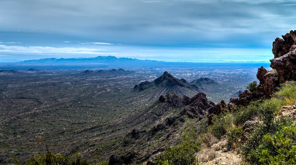 This image was captured while hiking up the Vulture Peak Trail in the BLM land near Wickenburg, Arizona.