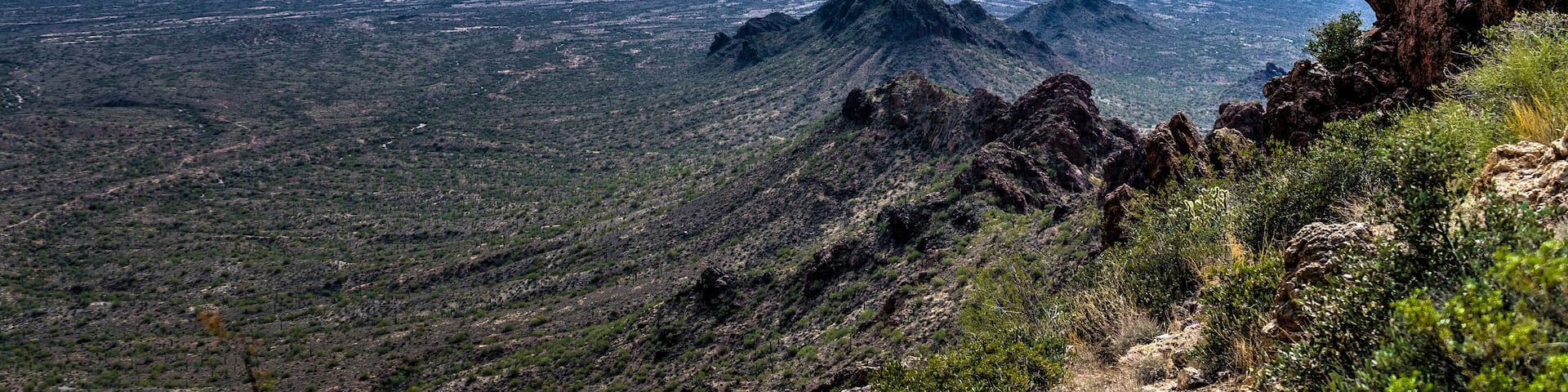 This image was captured while hiking up the Vulture Peak Trail in the BLM land near Wickenburg, Arizona.