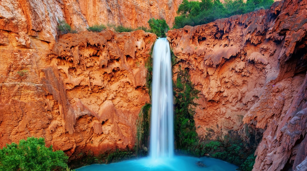 Havasu Falls