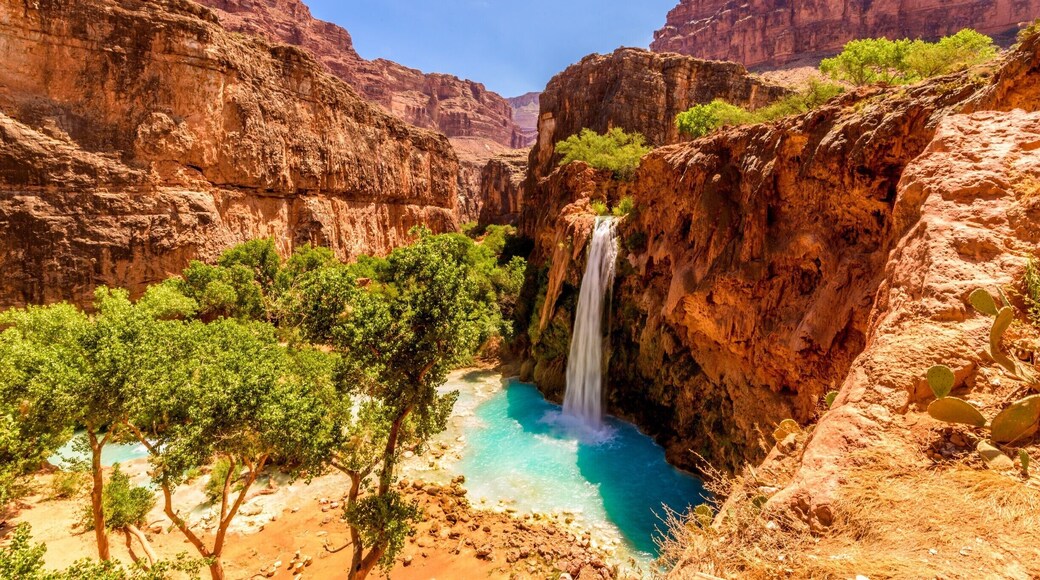 Havasu Falls
#Adventure