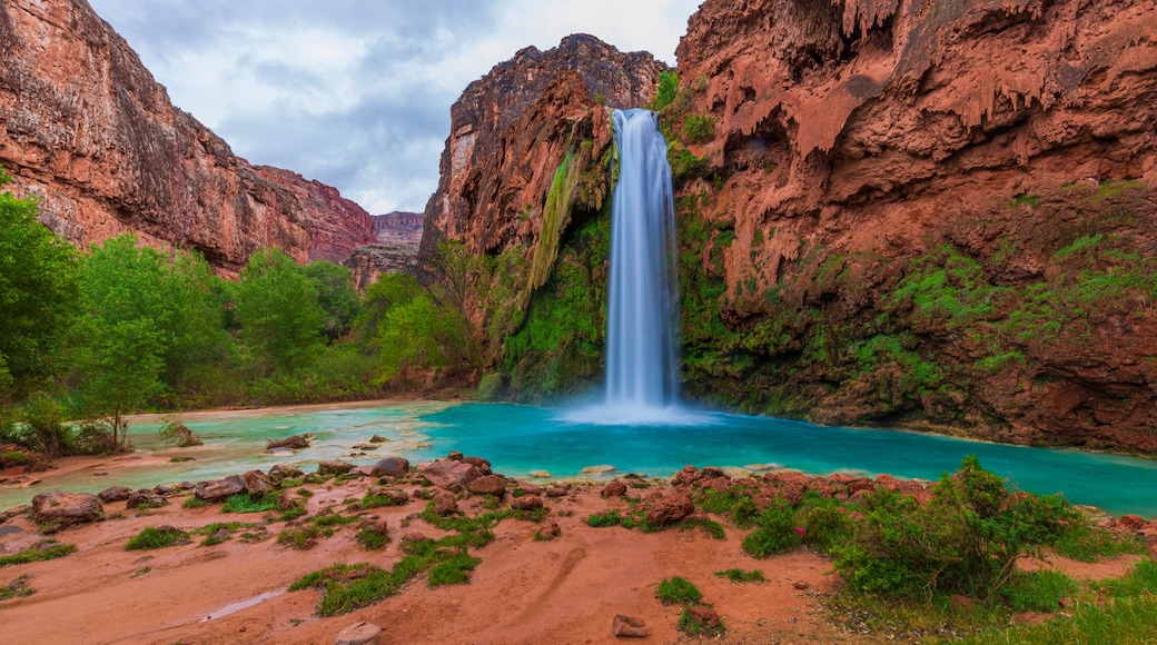 Havasu Falls