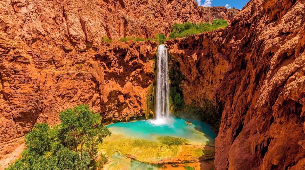 Mooney Falls
#bvsblue #Nature