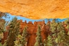 A canyon with red rock formations and green trees.
