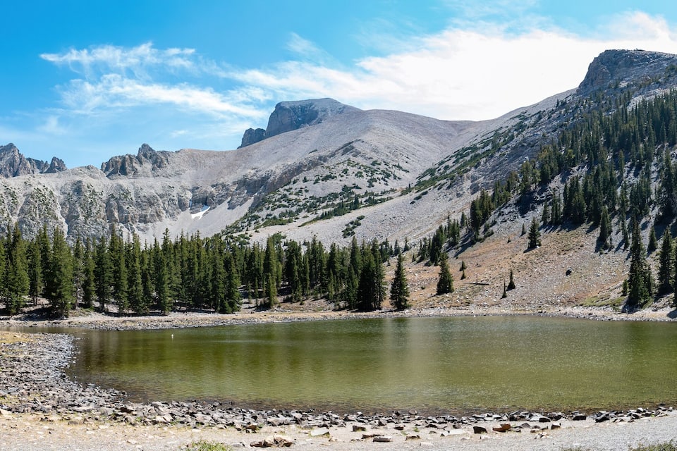 Un paisaje montañoso con un lago, terreno rocoso y bosques densos.