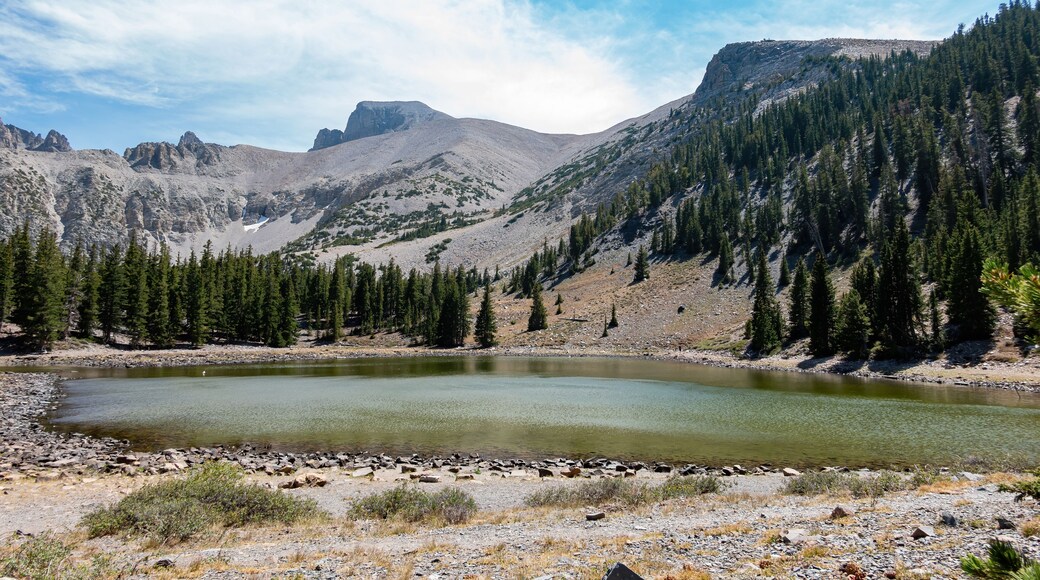 Afternoon sunny view of the Stella Lake