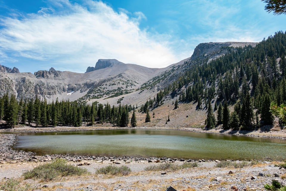 Un lago de montaña rodeado de terreno rocoso y densos bosques.