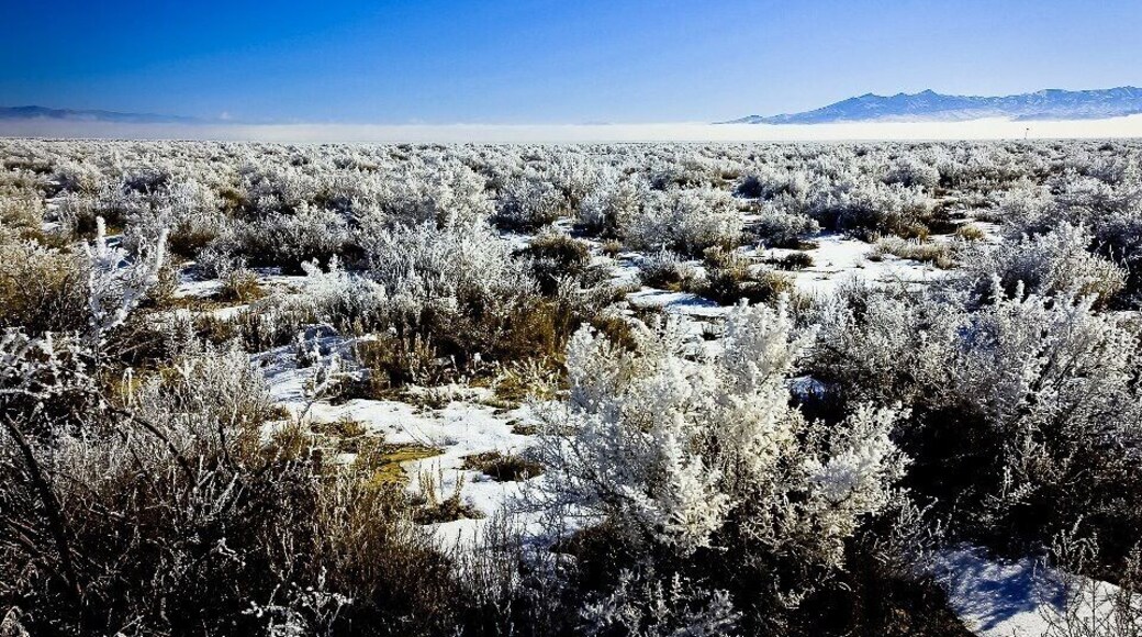 #snow
The Great Basin National Park, shown here straddling the Utah and Nevada border, is a pristine winter desert.