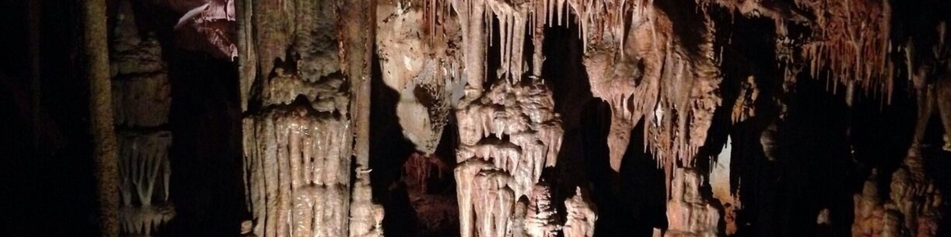 A really amazing cave! Each tour allows only 20 people so get tix early (there or online).