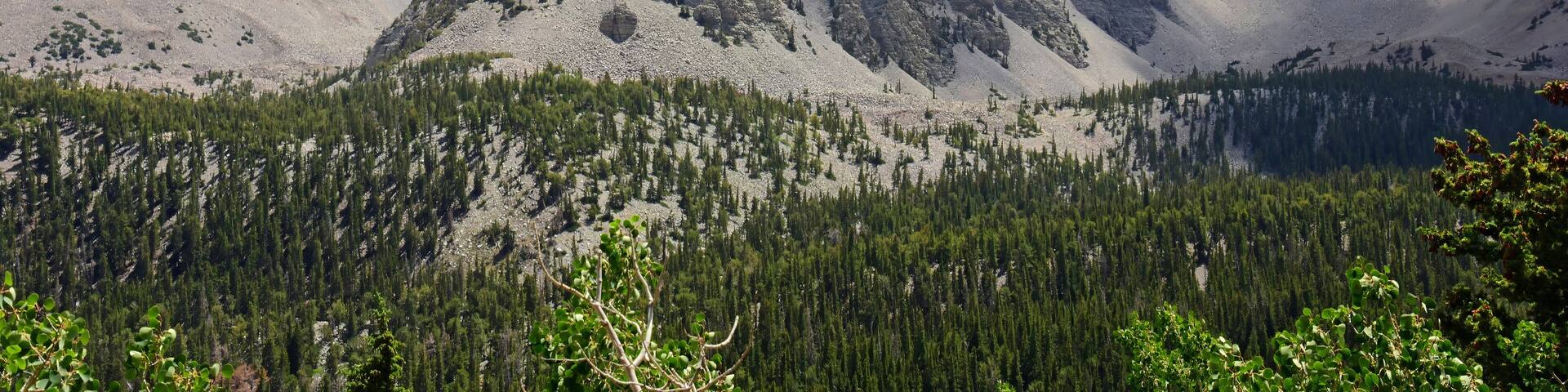 picturesque wheeler peak, pyramid peak, and jeff davis peak on a sunny summer day along the alpine lakes loop trail in great basin national park near baker, nevada