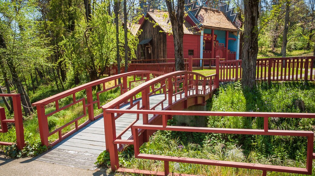 Summer Morning at Weaverville Joss House State Historic Park