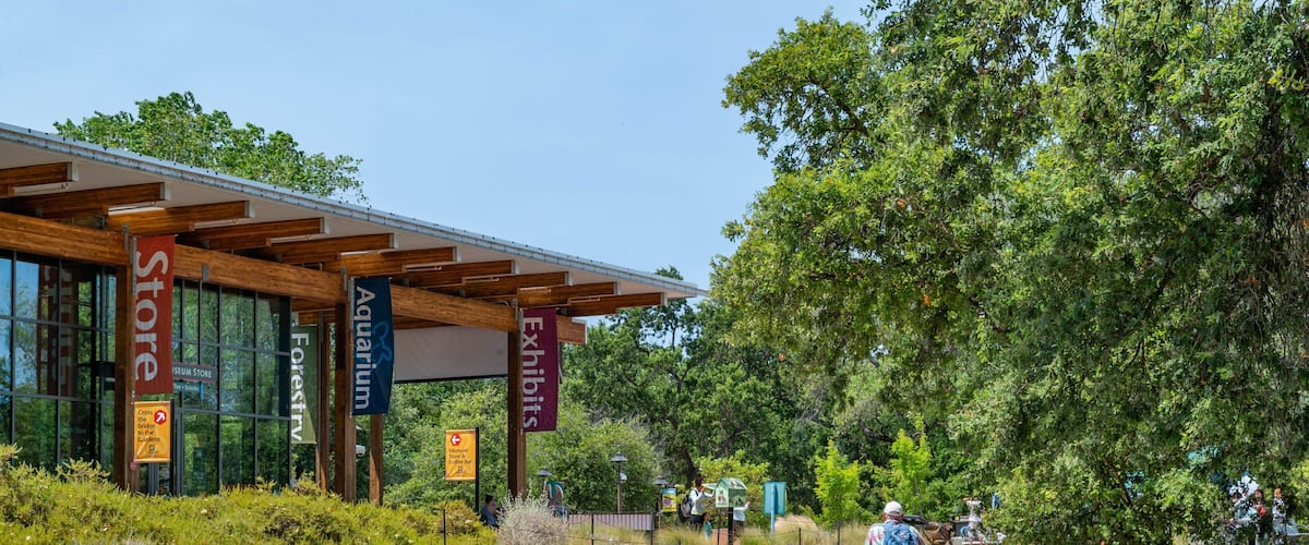 Sacramento Rail Trail which includes cycling and signage as well as an individual male