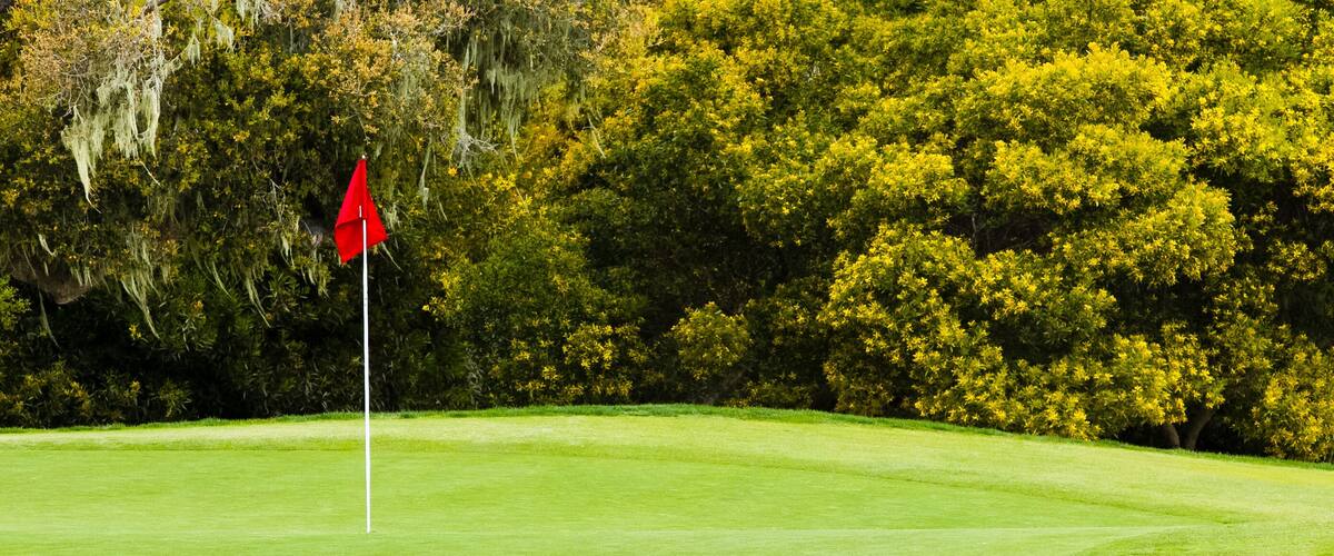 Beautiful Golf Green with Red Flag