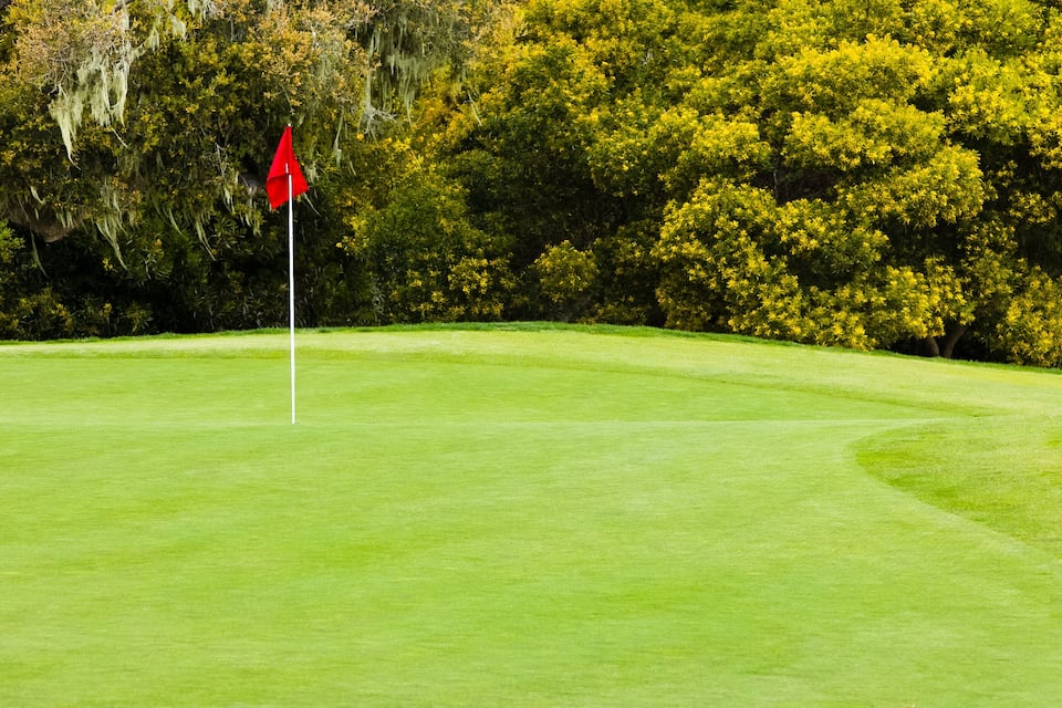 Un campo da golf con una bandiera rossa sul green, circondato da alberi e vegetazione fitta.