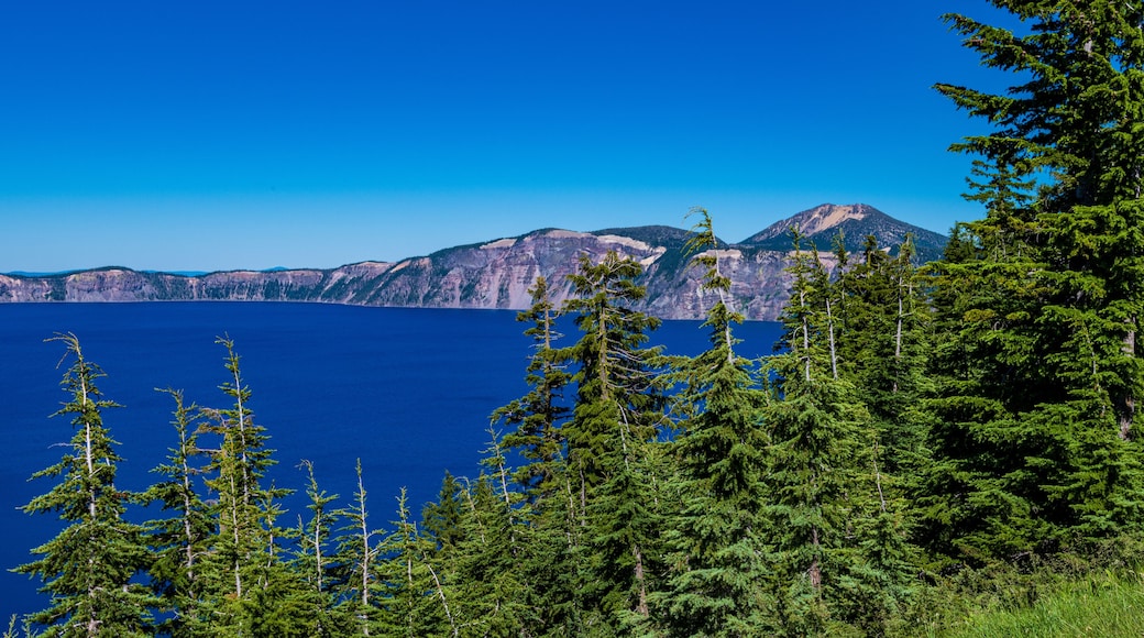 Centre d'accueil des visiteurs Rim