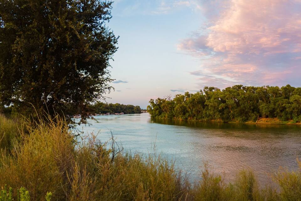Un fiume circondato da alberi fitti e sponde erbose.