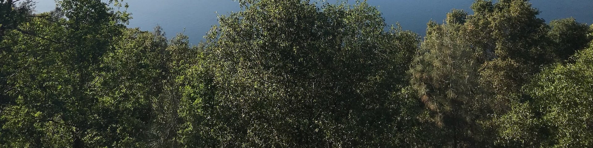 Nice viewpoint of Don Pedro Reservoir just off of 120 while driving into Yosemite National Park