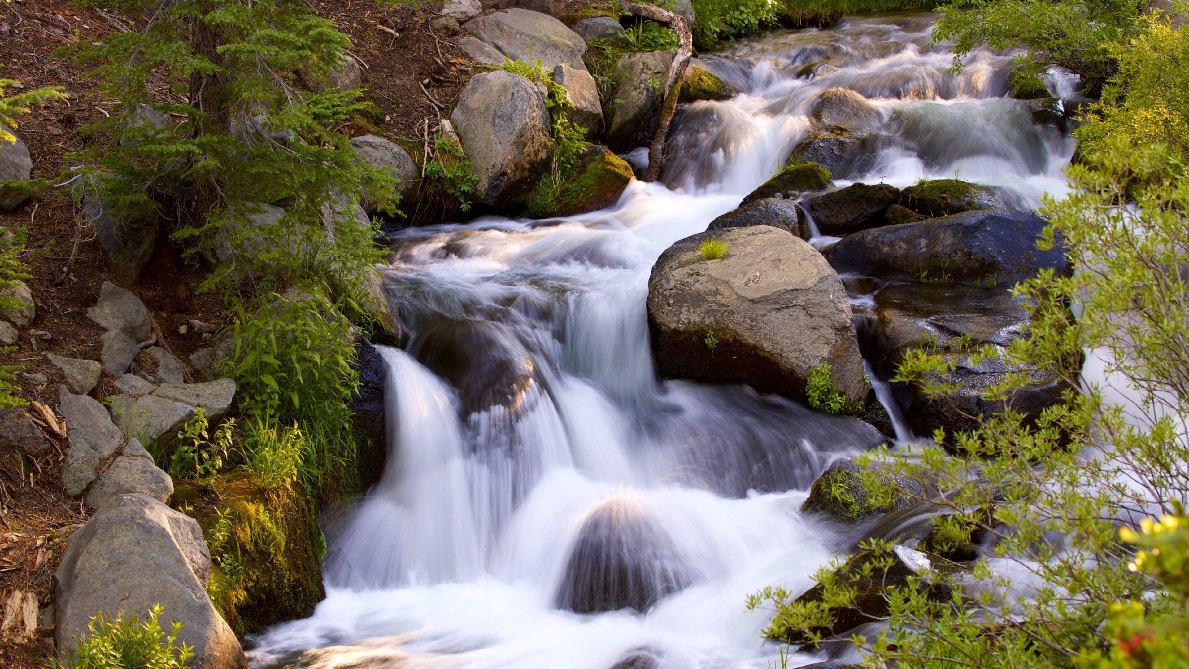 Mill Creek showing a river or creek