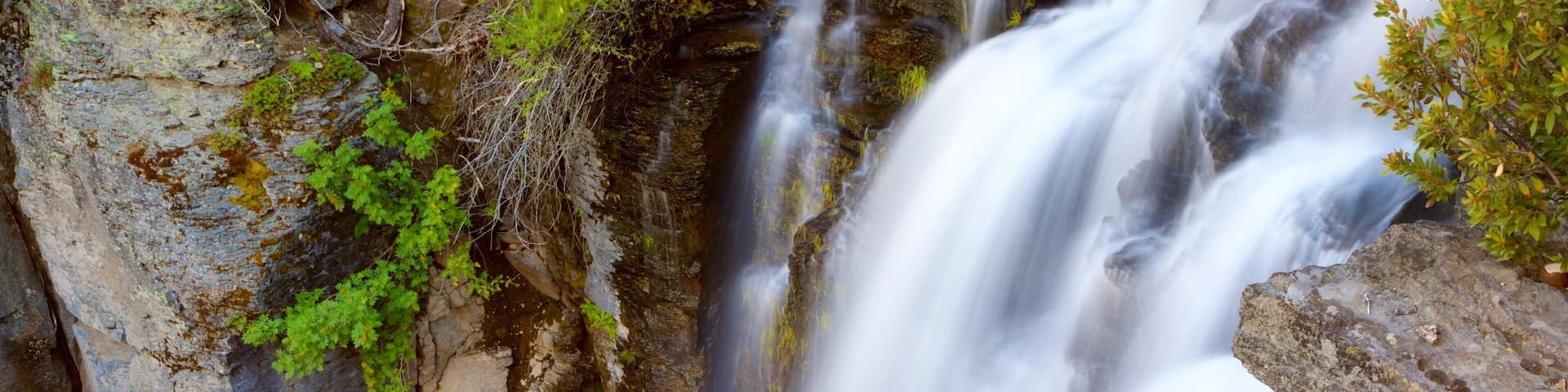 A waterfall cascading over rocky terrain with moss and small plants growing on the rocks.