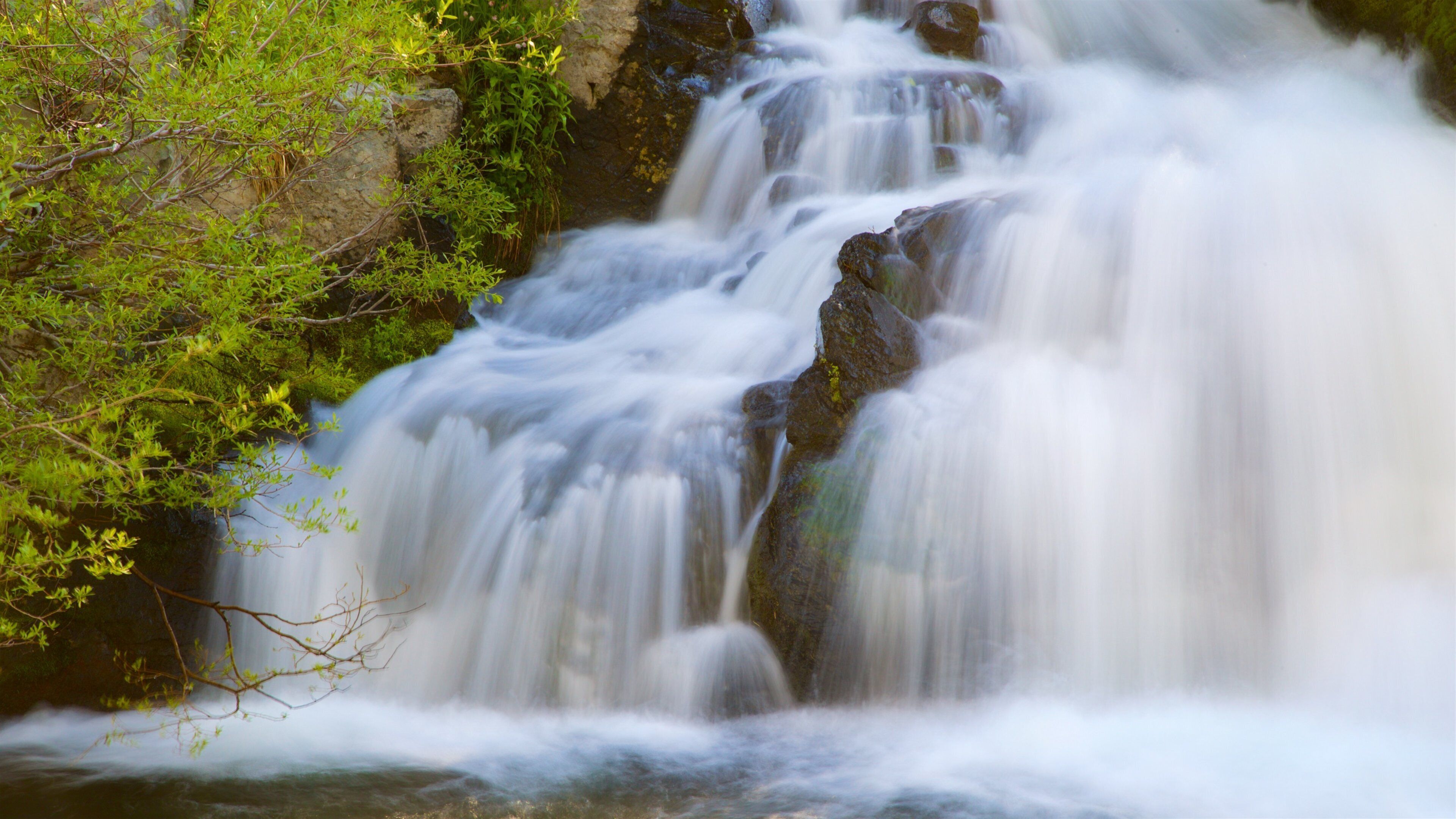 Kings Creek Falls which includes a cascade