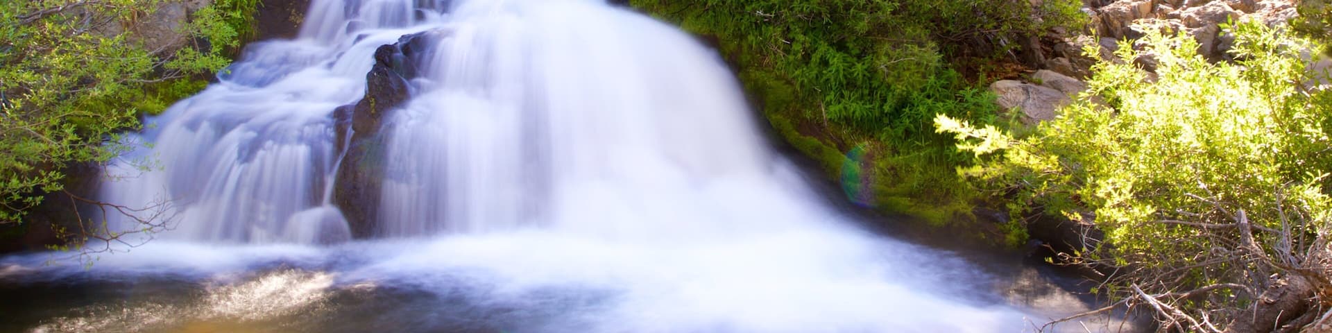 A waterfall in a forested area with dense green foliage and rocky terrain.