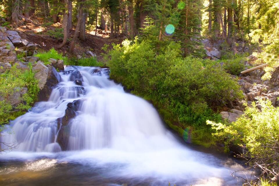 A waterfall in a forested area with dense green foliage and rocky terrain.