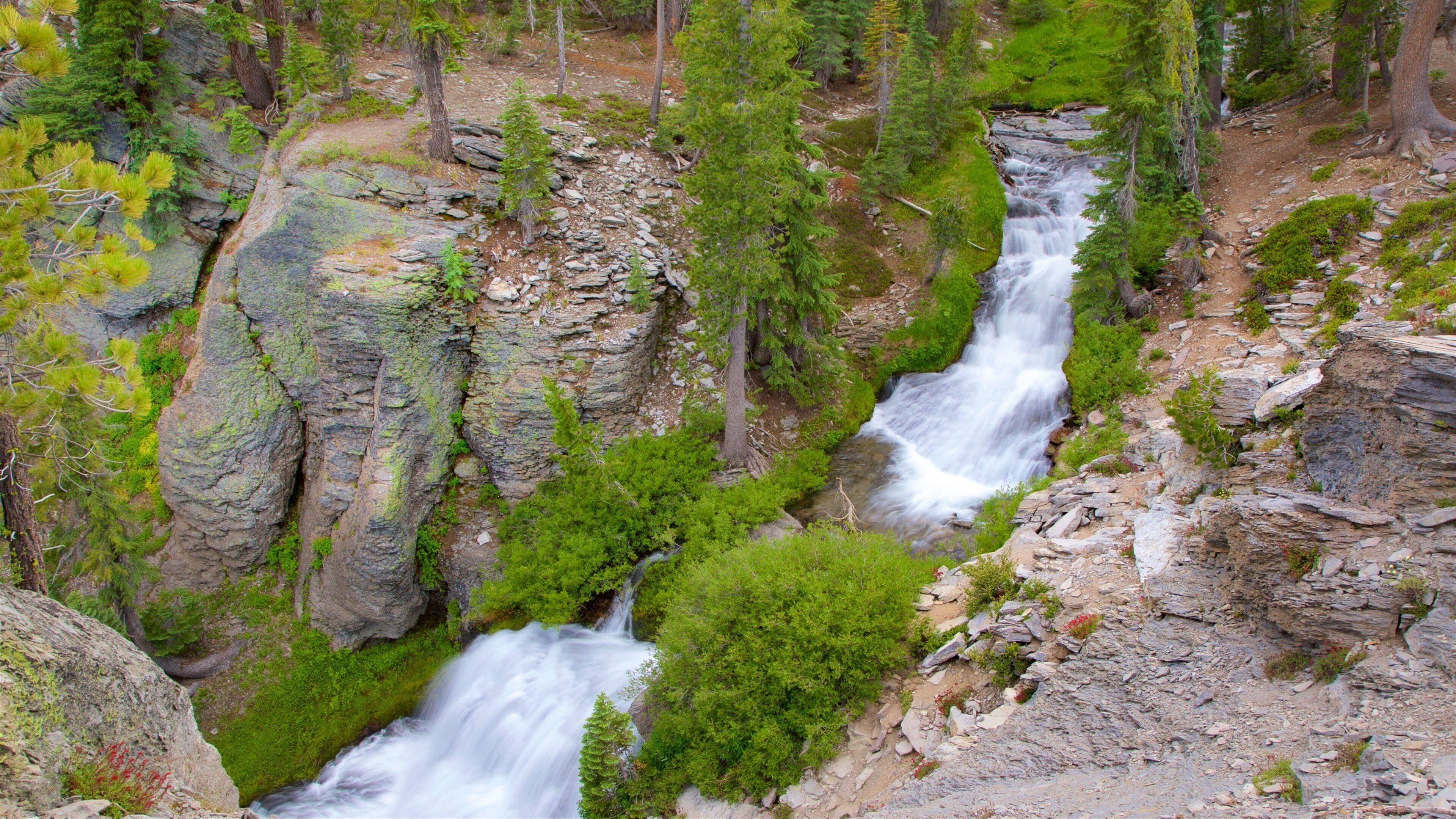 A waterfall cascading down a rocky cliff surrounded by dense green forest.