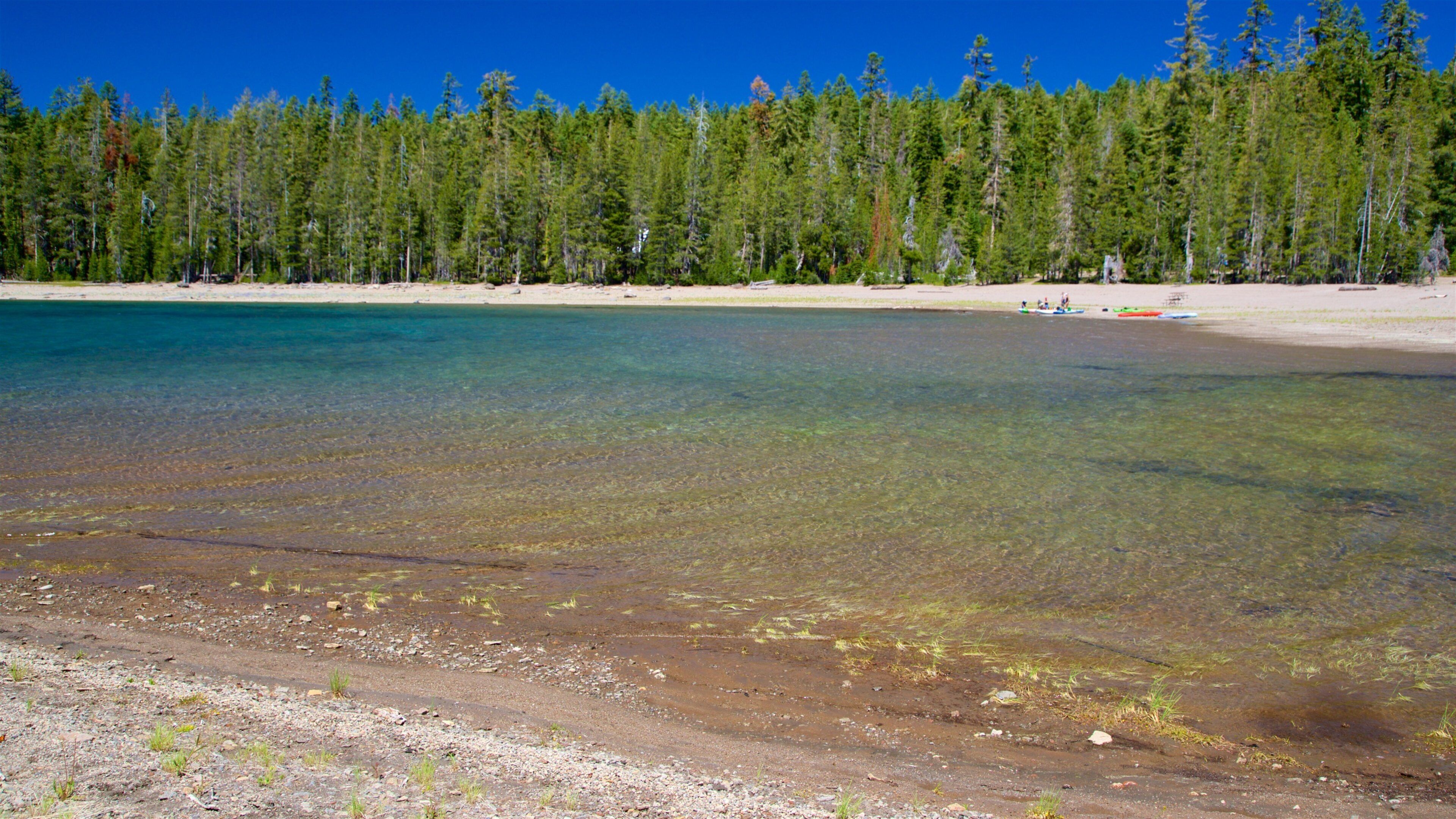 Mill Creek showing a lake or waterhole and forests