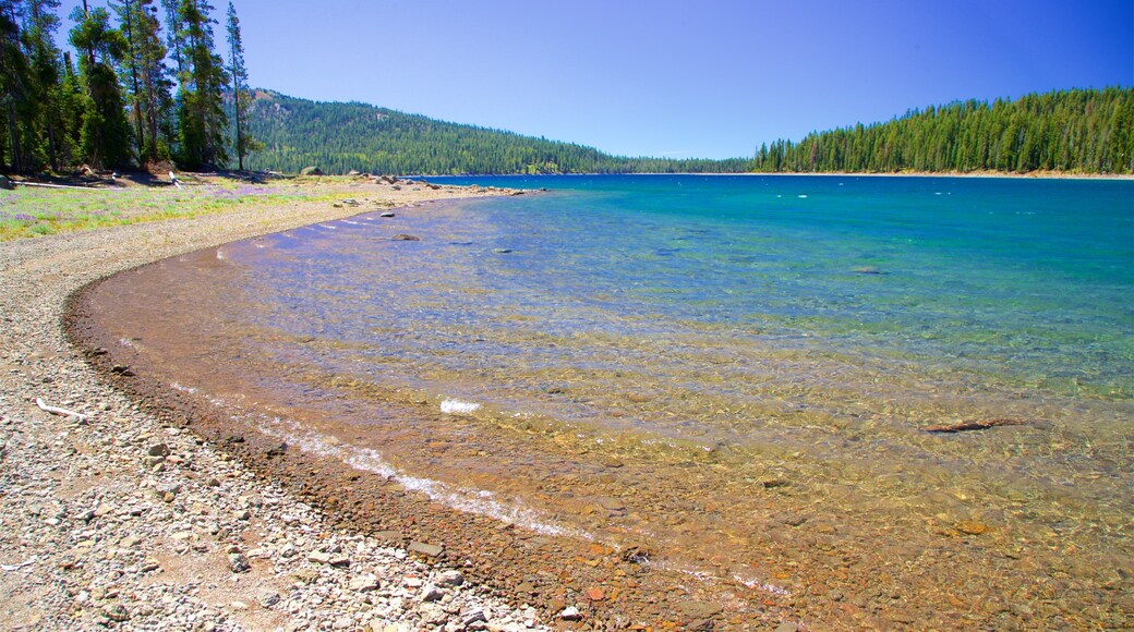 Juniper Lake featuring a pebble beach, tranquil scenes and a lake or waterhole