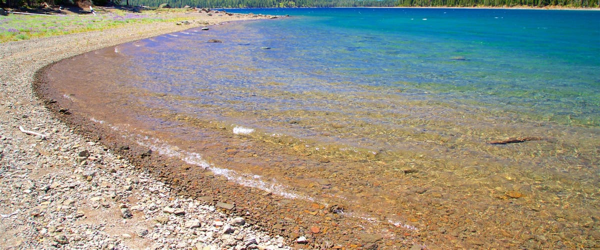 Juniper Lake featuring a pebble beach, tranquil scenes and a lake or waterhole