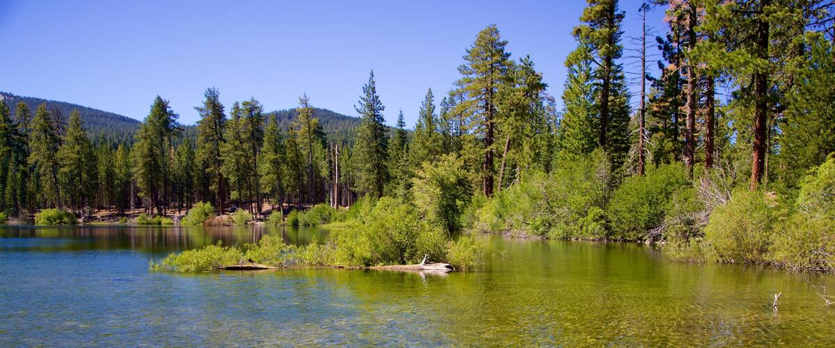 Mill Creek che include paesaggi rilassanti, lago o sorgente d\'acqua e palude