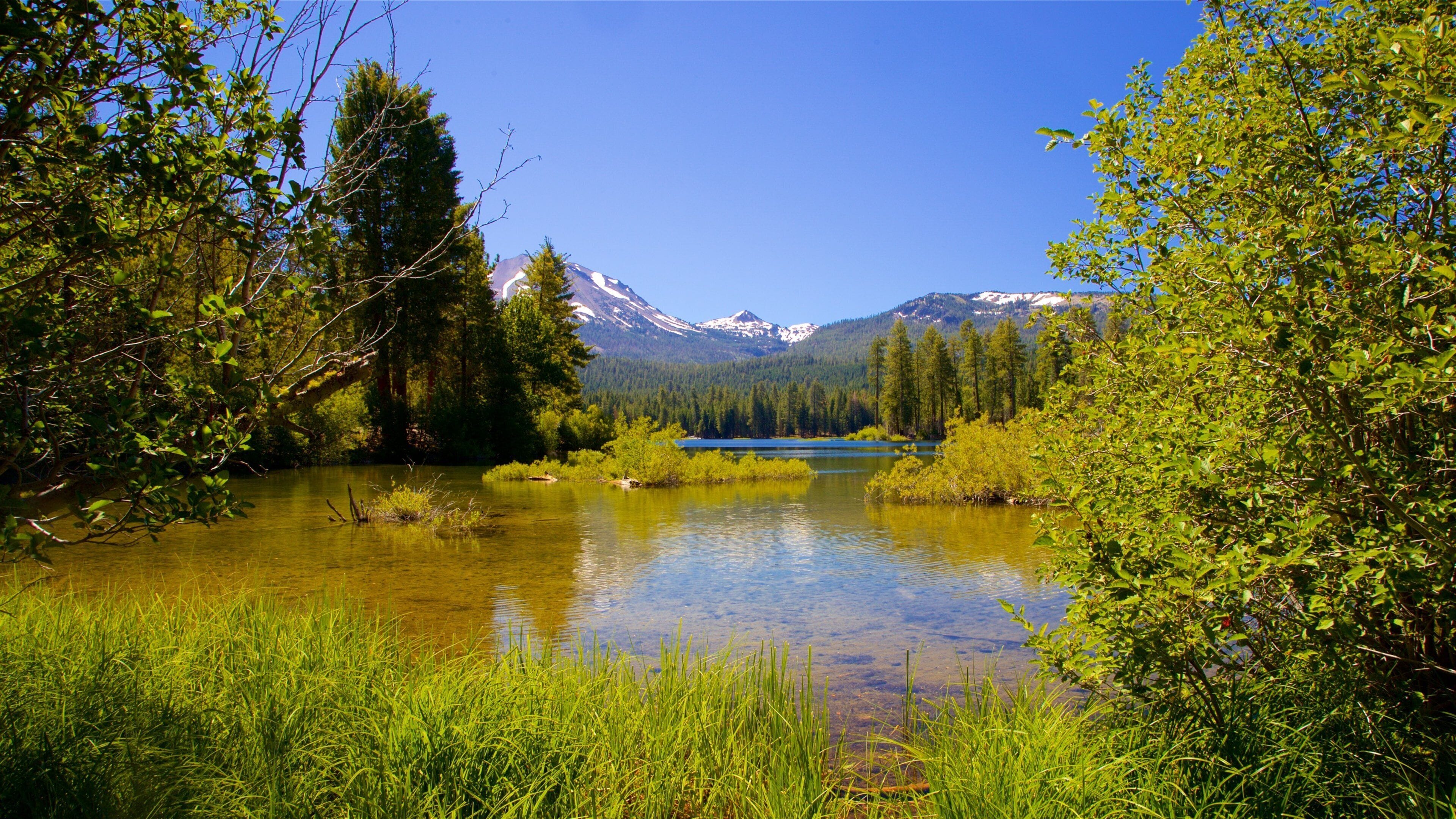 Mill Creek som inkluderer myr og innsjø