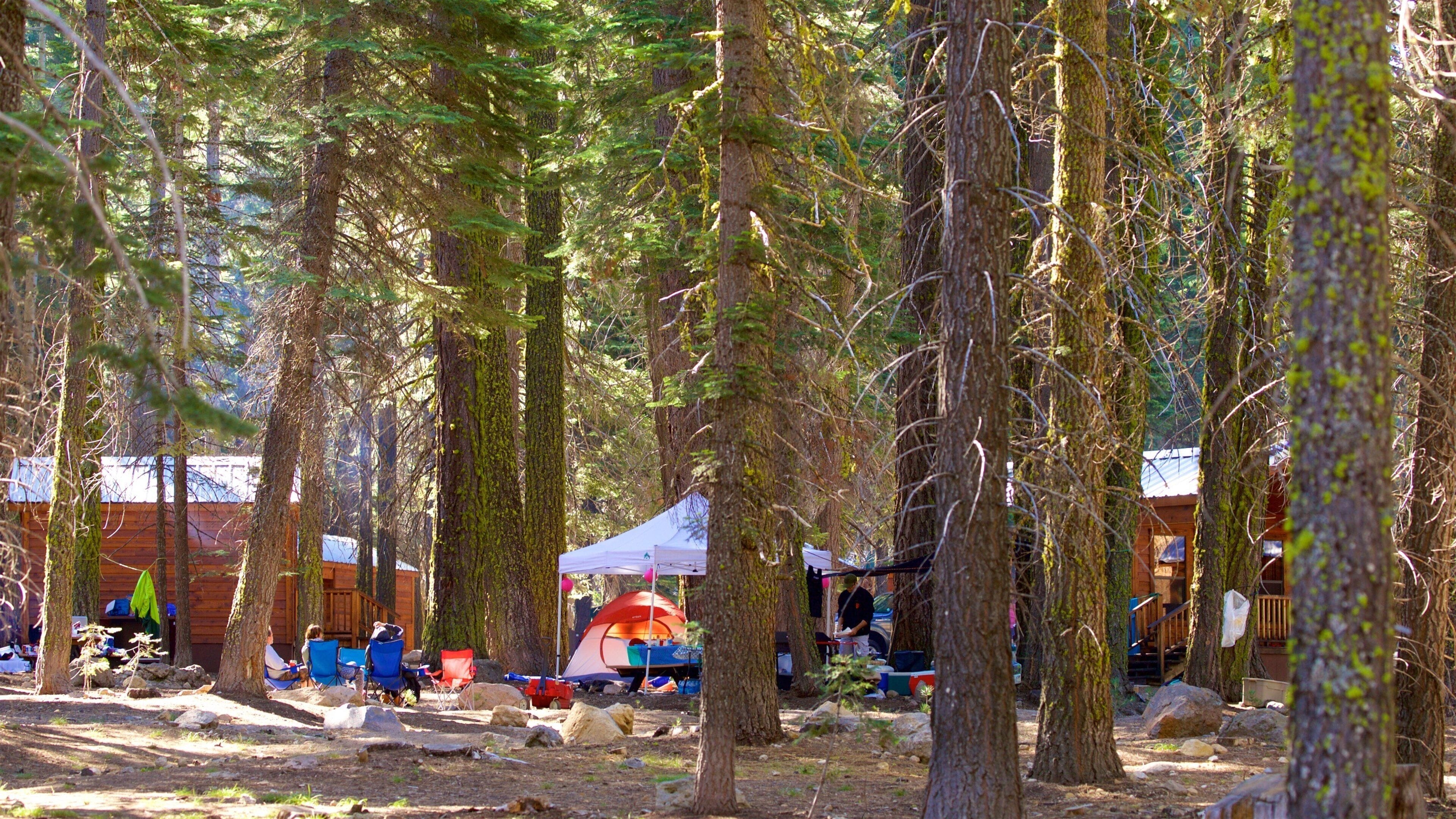 Mill Creek caracterizando florestas e acampamento assim como um pequeno grupo de pessoas