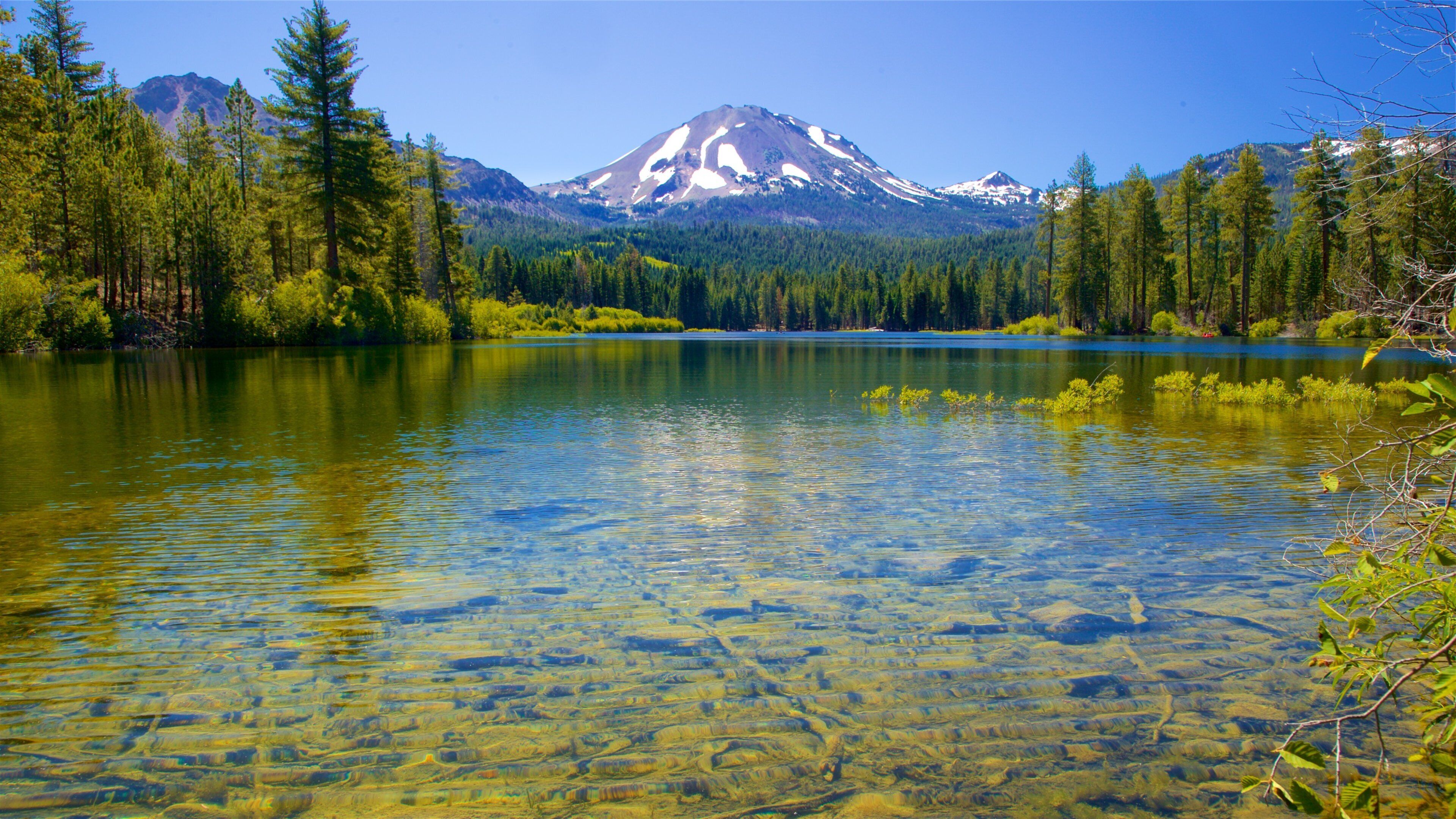 A clear lake surrounded by dense forest and a snow-capped mountain.