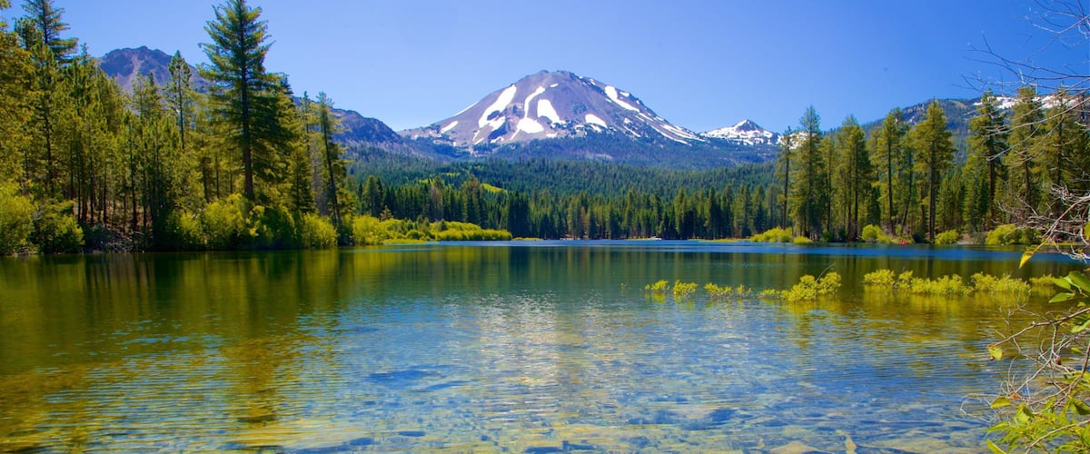 A clear lake surrounded by dense forest and a snow-capped mountain.