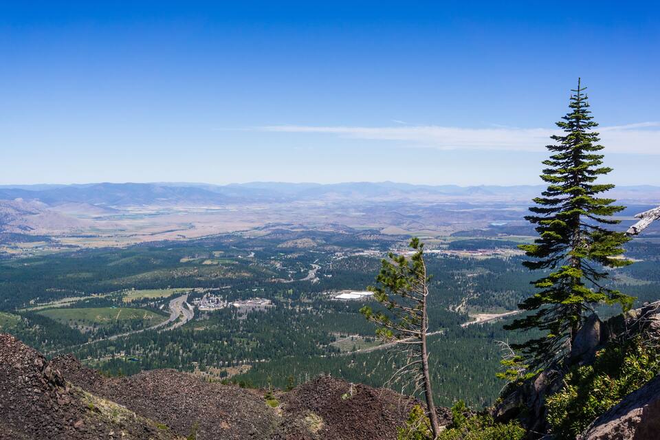 A mountain landscape with a clear sky, a prominent evergreen tree, and a valley with scattered buildings and roads.