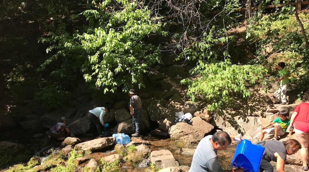 Just inside the park people filling up jugs of this world famous glacier melt water