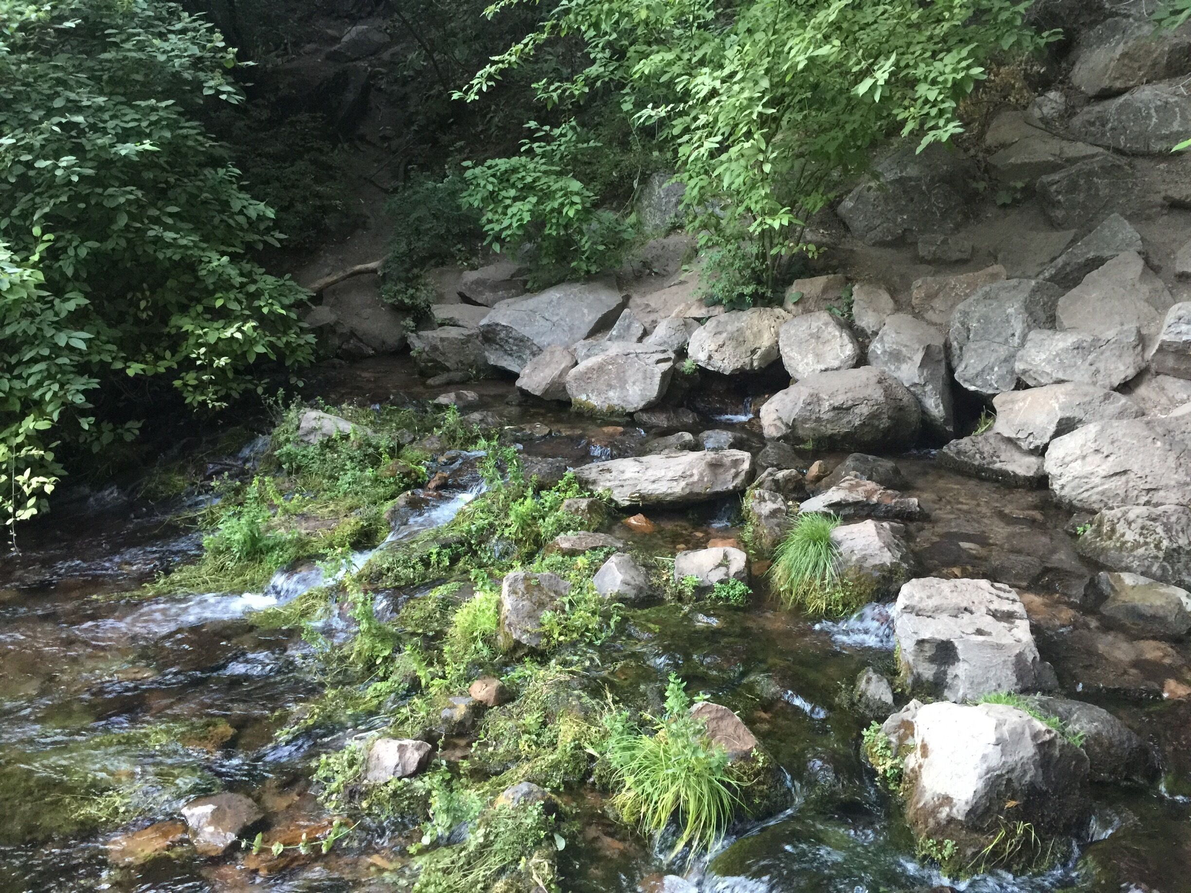 The headwaters of the Sacramento River flowing directly out of Mount Shasta. 