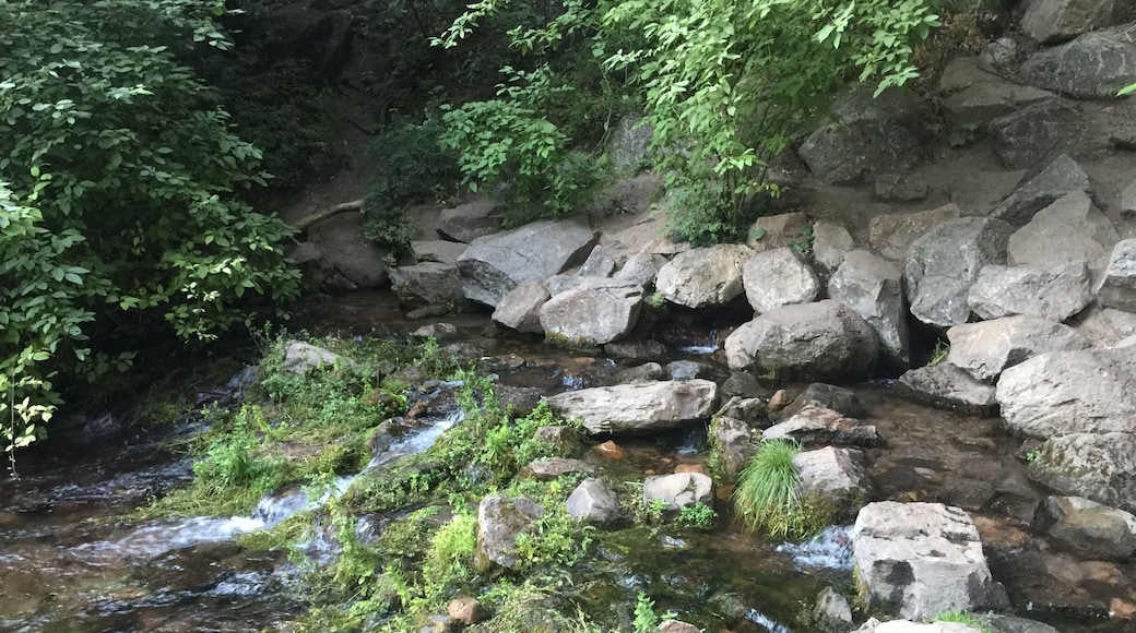 The headwaters of the Sacramento River flowing directly out of Mount Shasta.