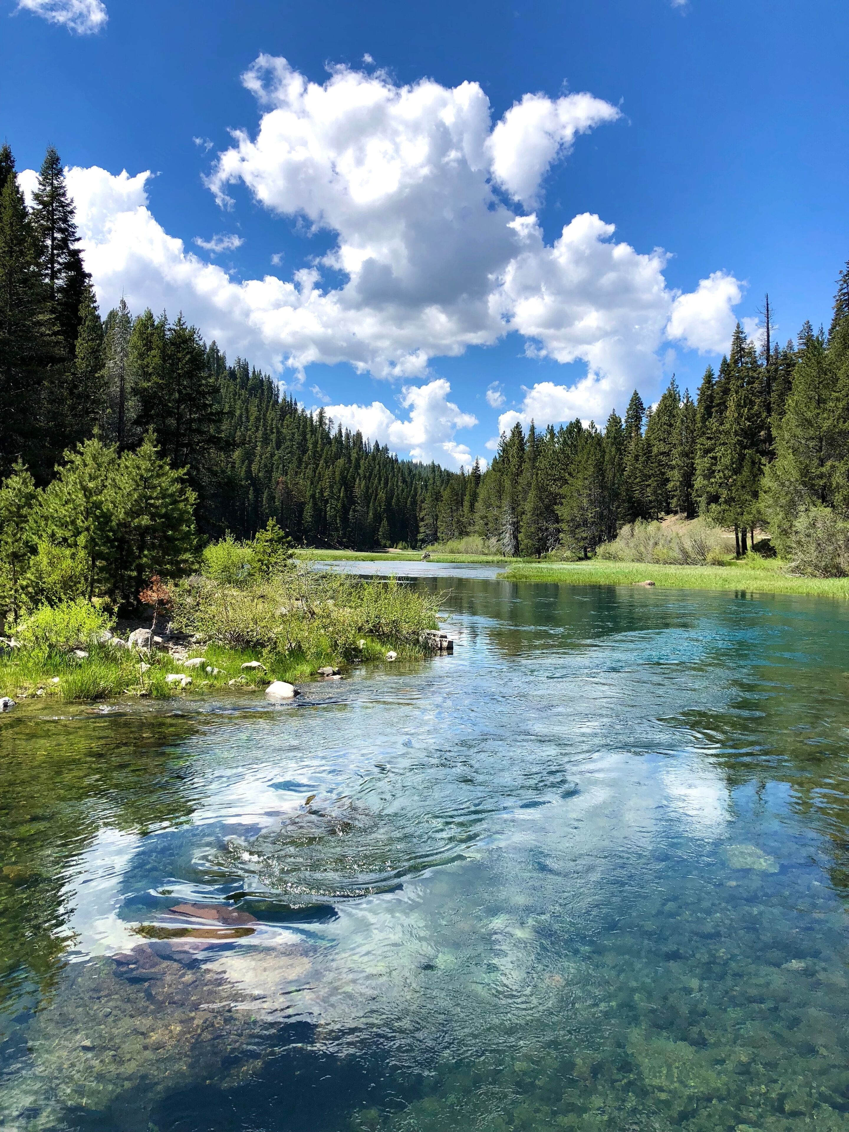 The view of Truckee river on a sunny summer day in North Lake Tahoe, California. Mountain river in Sierra Nevada. West coast vacation destinations. California roadtrip. 
