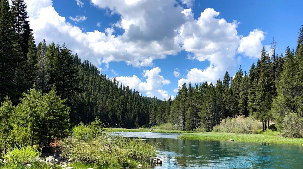 The view of Truckee river on a sunny summer day in North Lake Tahoe, California. Mountain river in Sierra Nevada. West coast vacation destinations. California roadtrip.