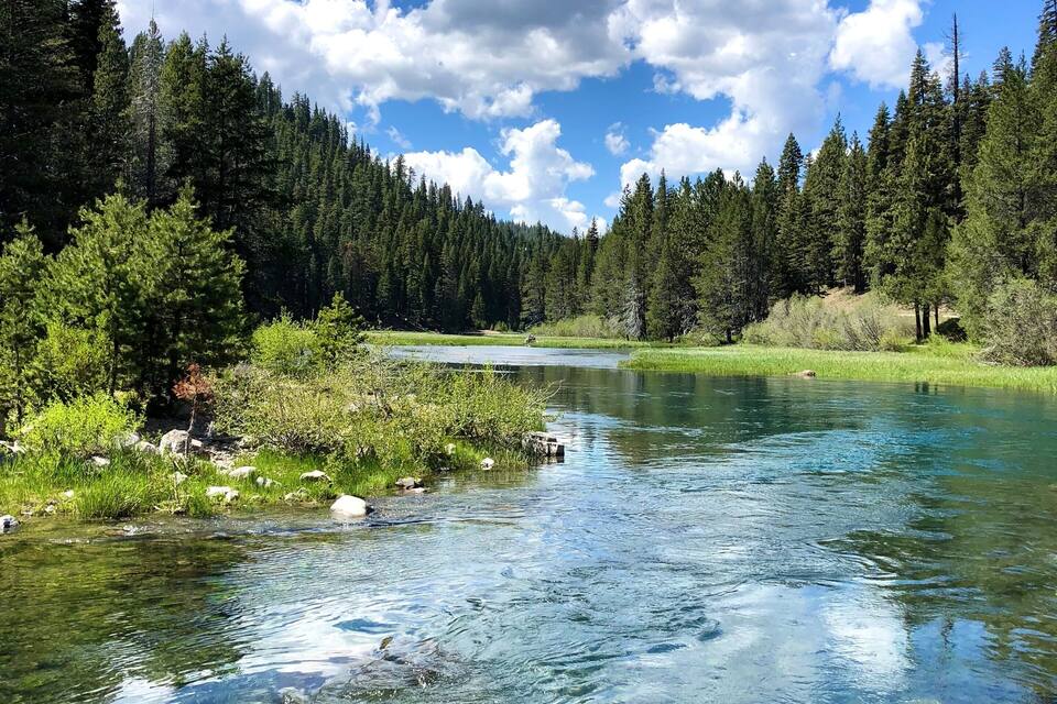 A clear river surrounded by dense forest and a blue sky with clouds.