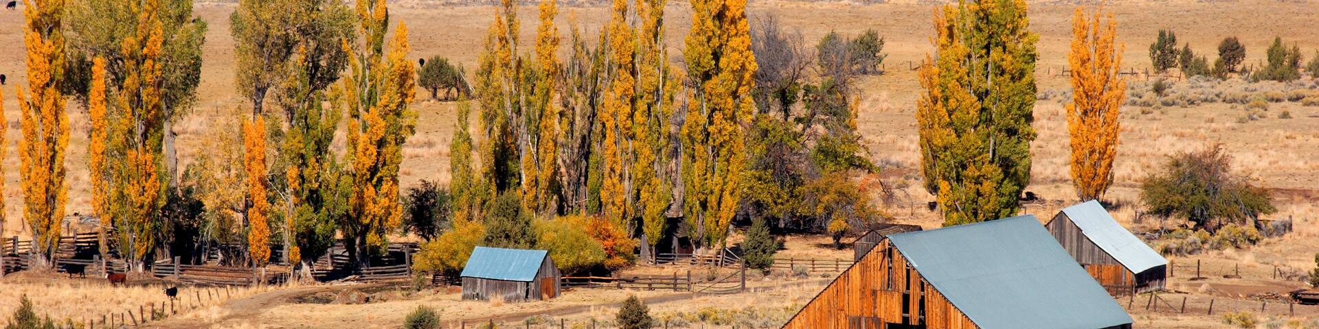Old barns at Eagle Lake, near Susanville in Northeastern California